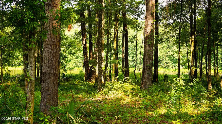 Lot6 Cypress Pointe, Brooksville, MS 39739 - #3