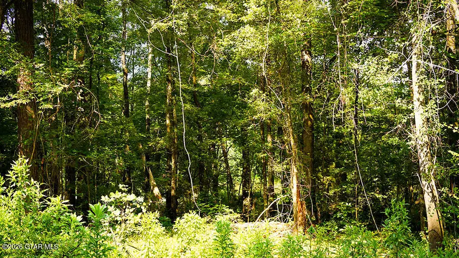 Lot7 Cypress Point, Brooksville, MS 39739 - #3
