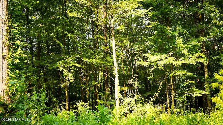 Lot8 Cypress Pointe, Brooksville, MS 39739 - #2
