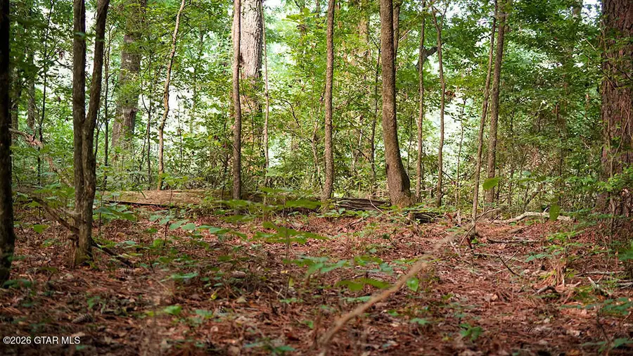 Cypress Pointe, Brooksville, MS 39739 - #3