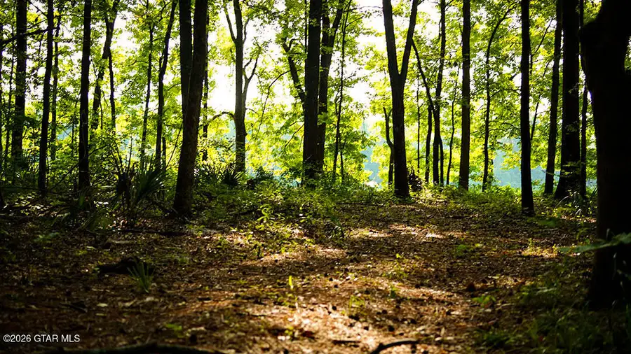 Lot12 Cypress Pointe, Brooksville, MS 39739 - #2