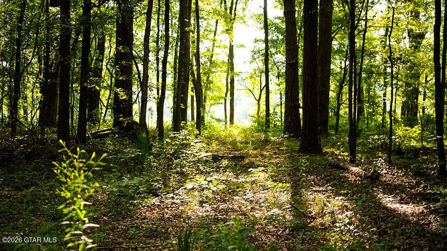 Lot14 Cypress Pointe, Brooksville, MS 39739 - #3