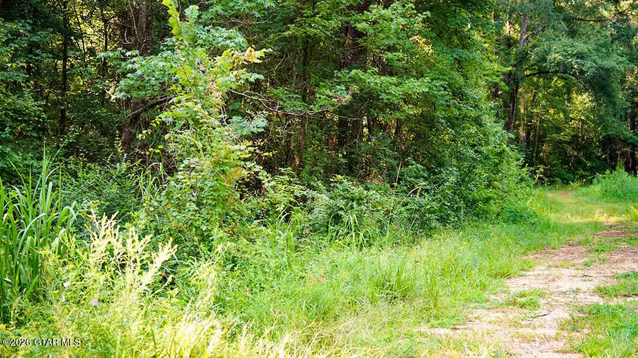 Lot15 Cypress Pointe, Brooksville, MS 39739 - #3
