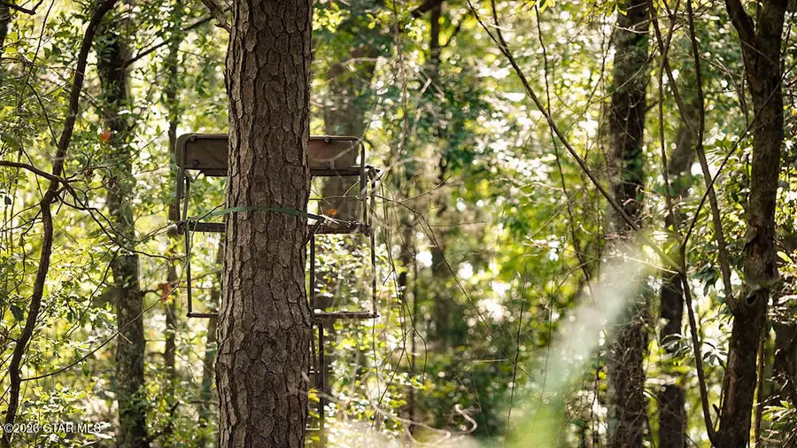 Lot17 Cypress Pointe, Brooksville, MS 39739 - #3