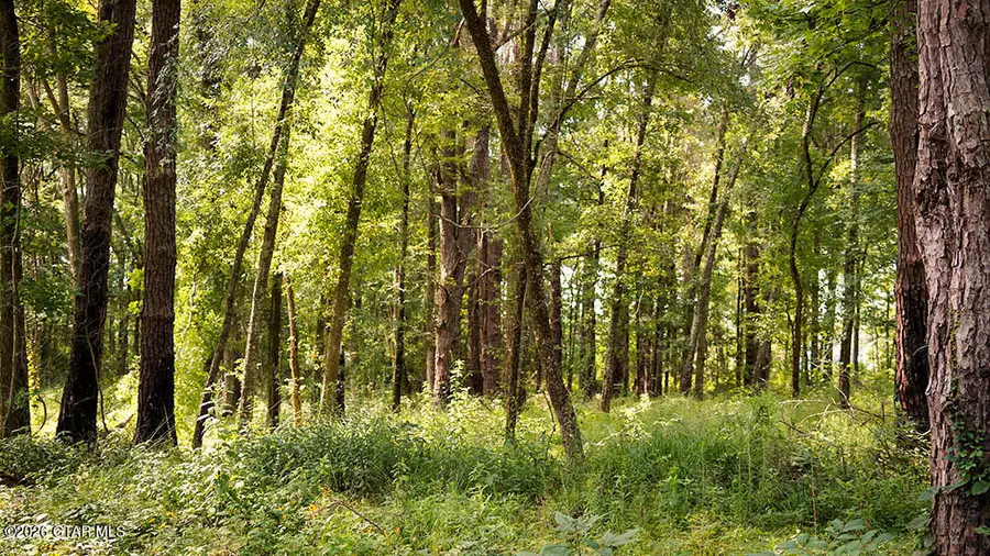 Lot18 Cypress Pointe, Brooksville, MS 39739 - #3