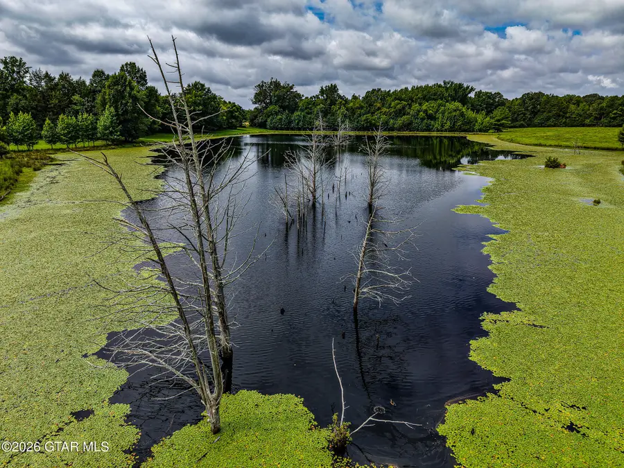 County Road 110, Houston, MS 38851 - #2