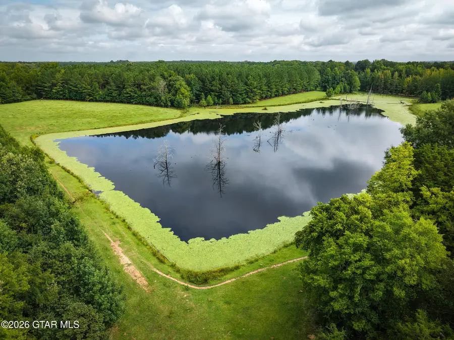 County Road 110, Houston, MS 38851 - #3