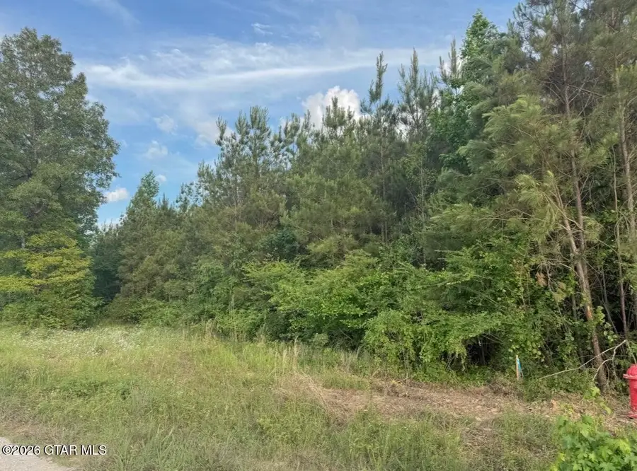 Dry Branch, Steens, MS 39766 - #2