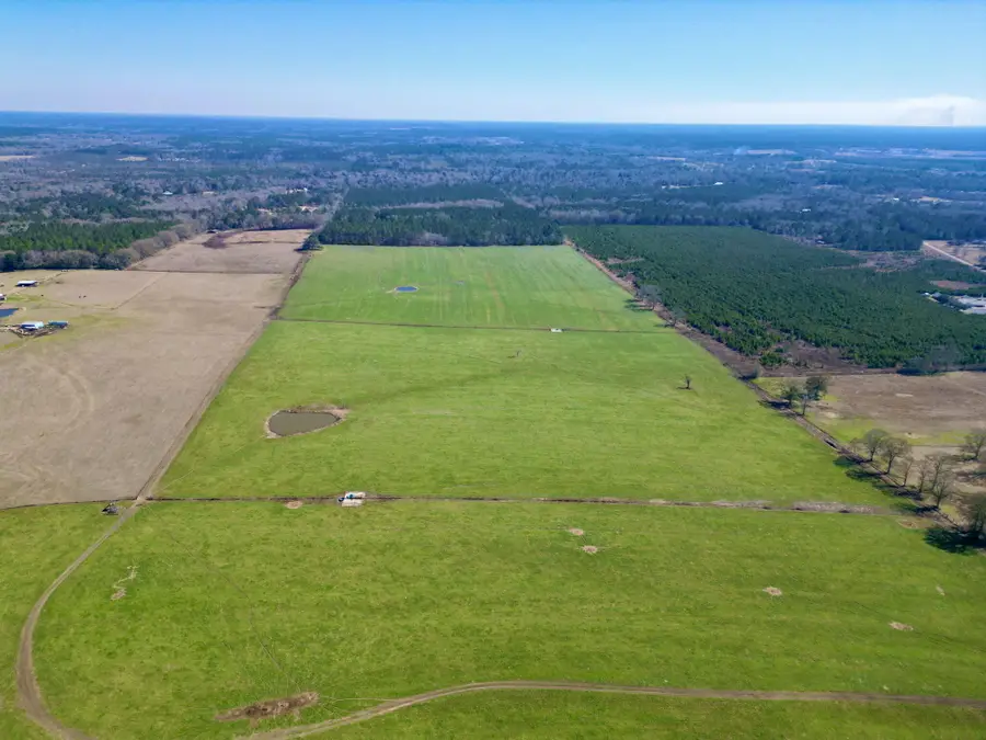 Holden Rd., Poplarville, MS 39470 - #3