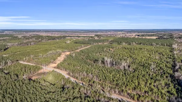 0 Young Crossing Rd, Louisville, MS 39339