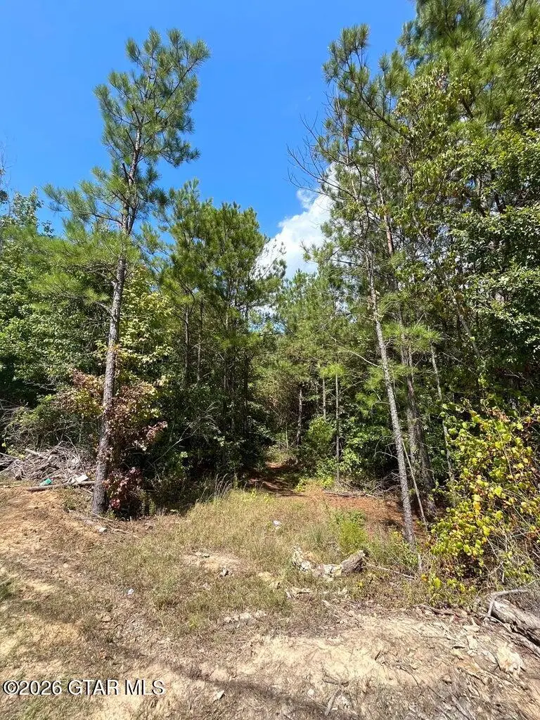 0 Yorkville, Columbus, MS 39702 - #2