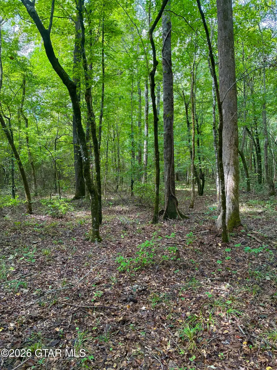 County Road 303, Mathiston, MS 39752 - #2