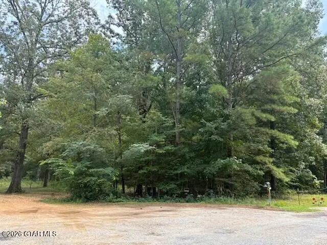 Littlewoods Drive Lot 11, Starkville, MS 39759 - #1