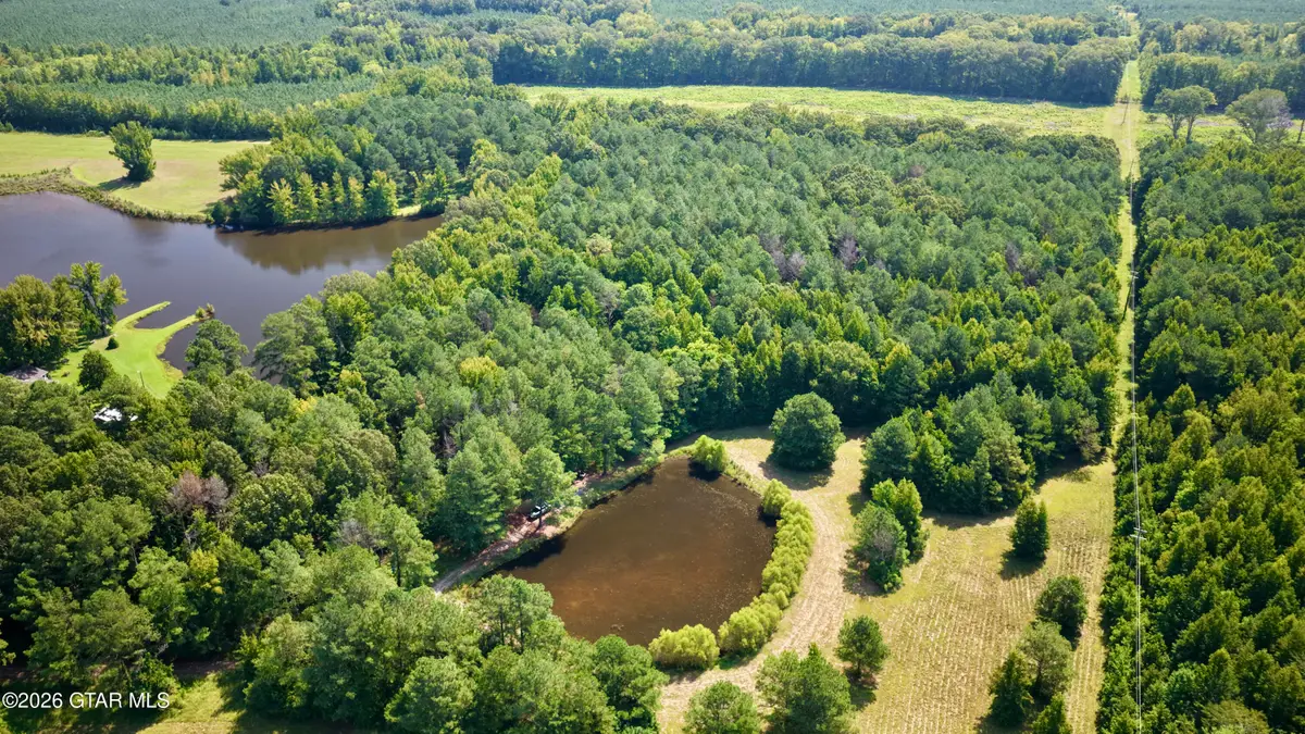 N Beasley, Pheba, MS 39755 - #1