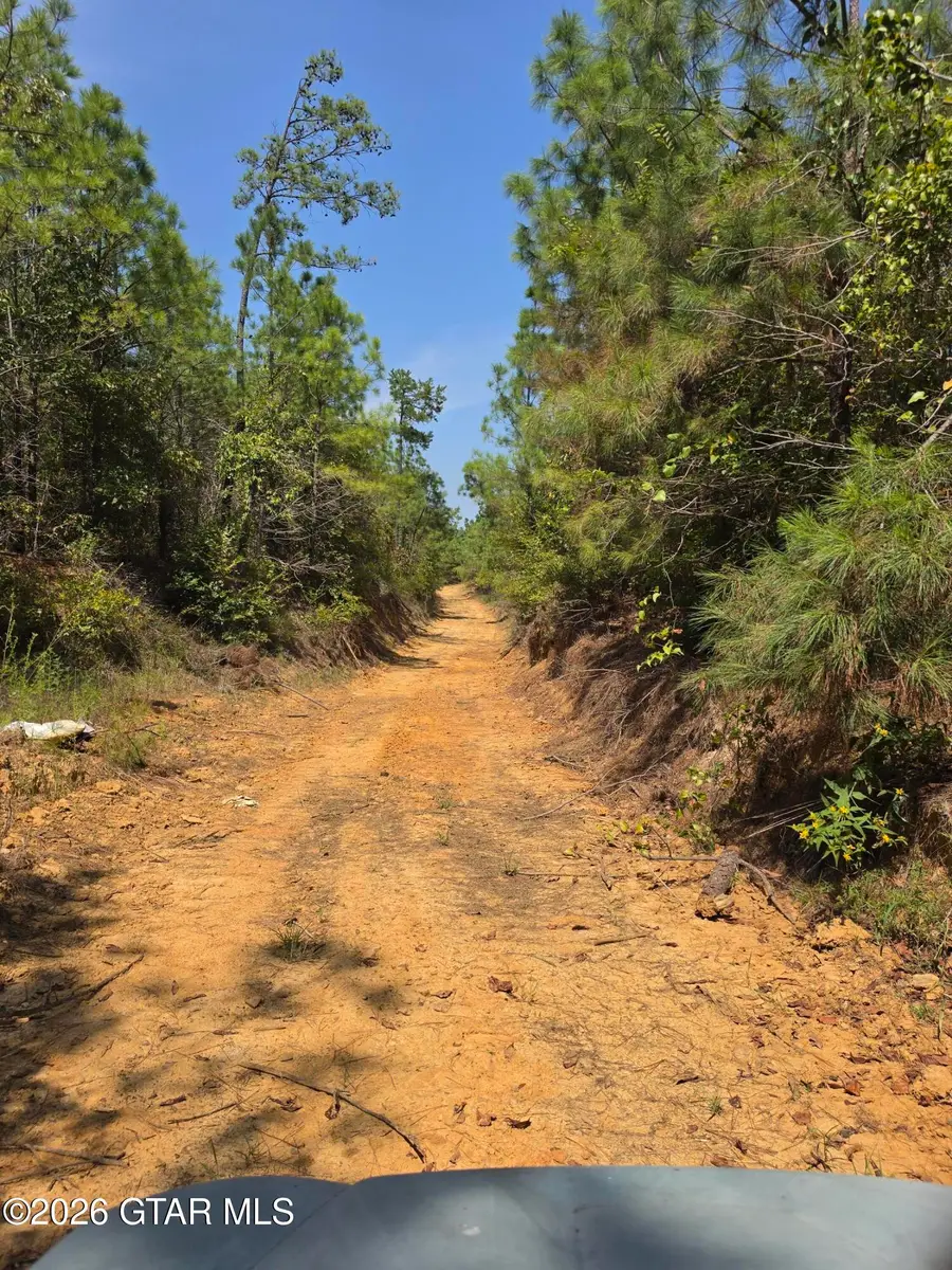 Shiloh Rd, Duck Hill, MS 38925 - #2