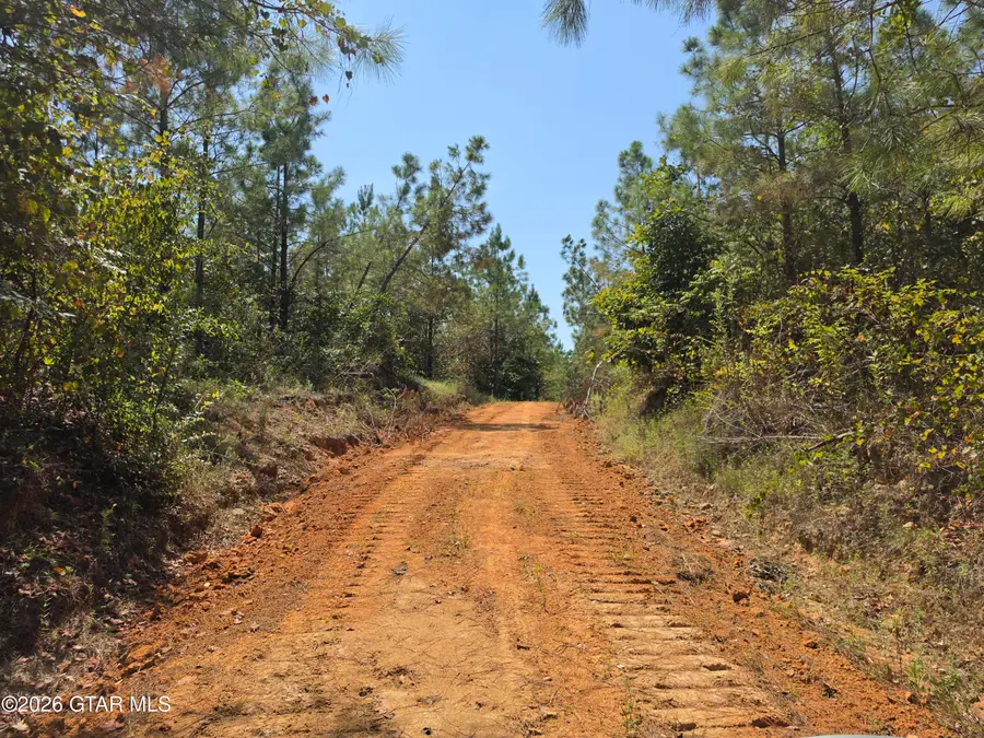 Shiloh Rd, Duck Hill, MS 38925 - #3