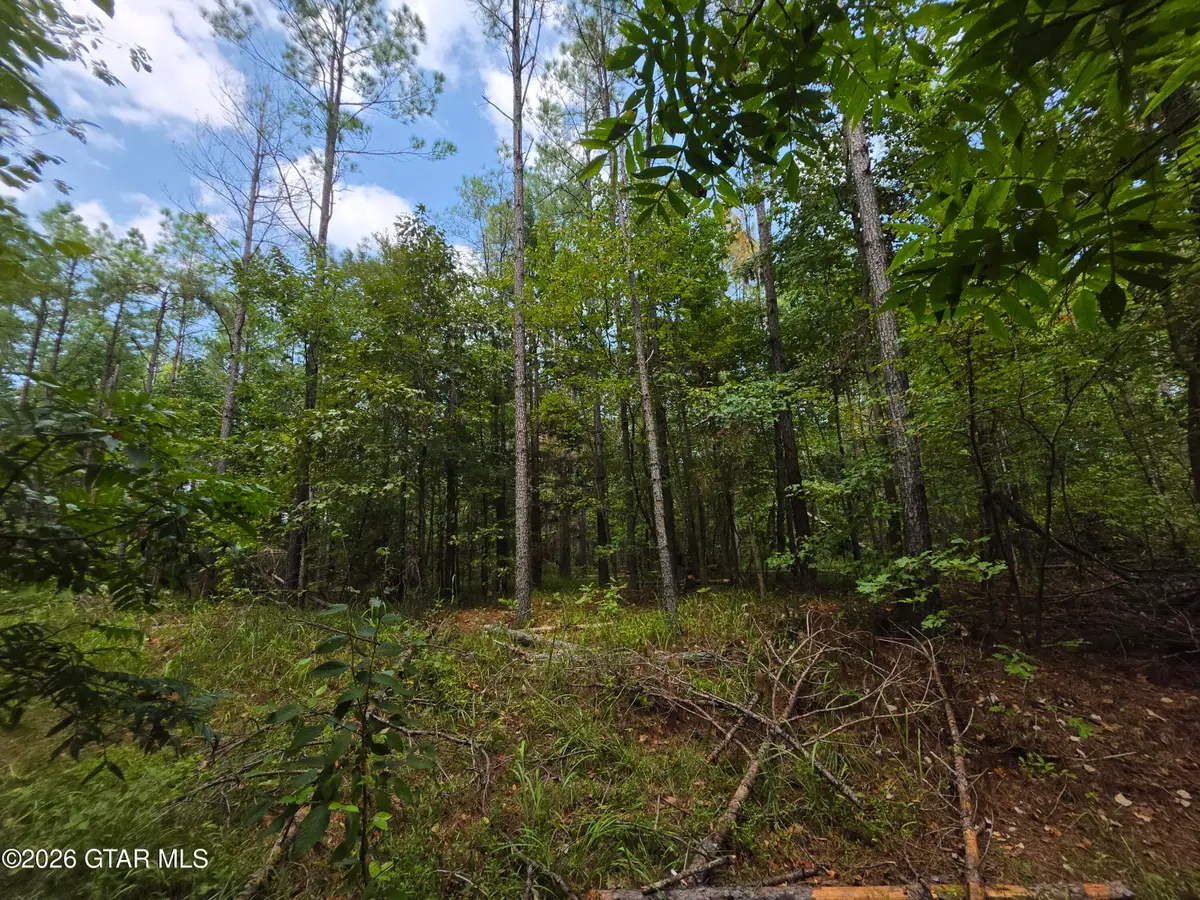 80+/- Acres Webster, Bellefontaine, MS 39737 - #1