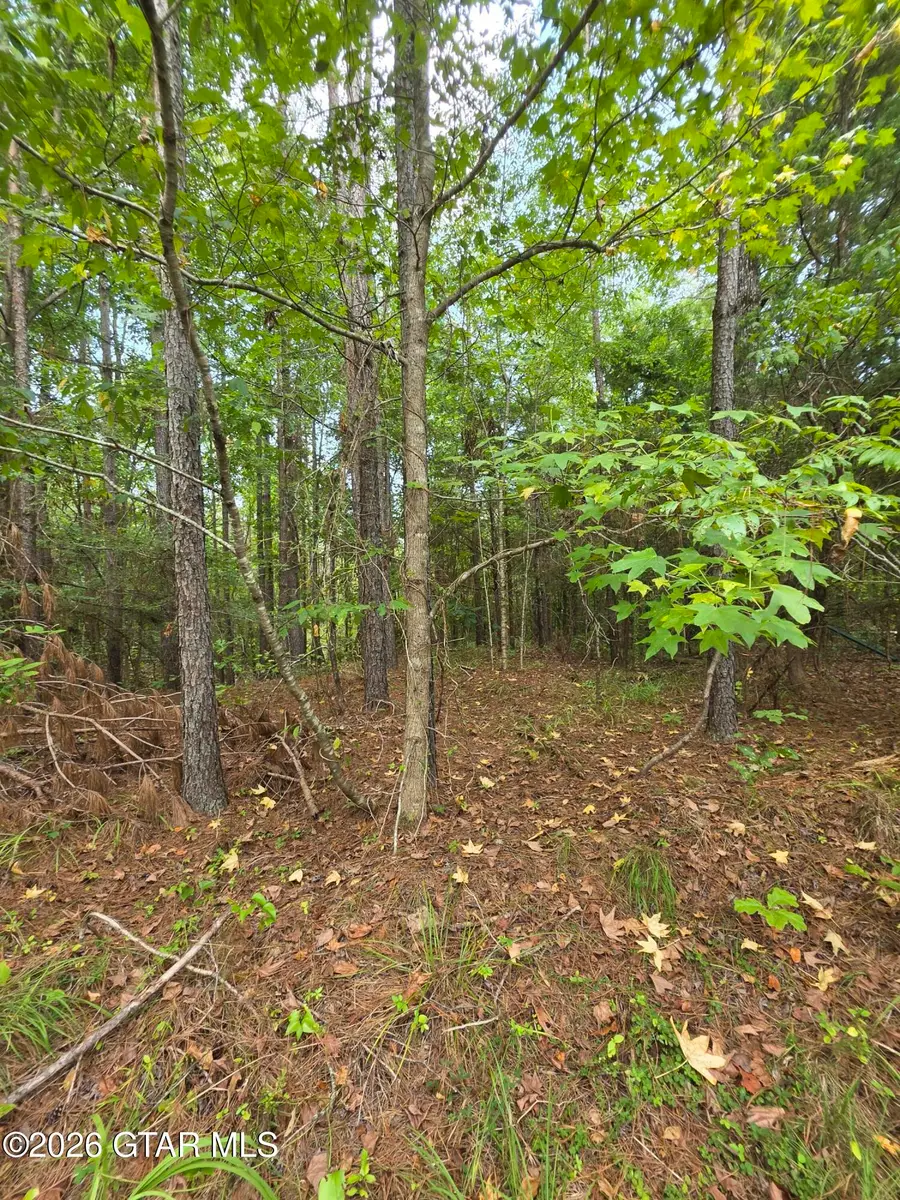 80+/- Acres Webster, Bellefontaine, MS 39737 - #3