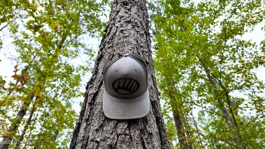 0 Shady, West Point, MS 39773 - #3