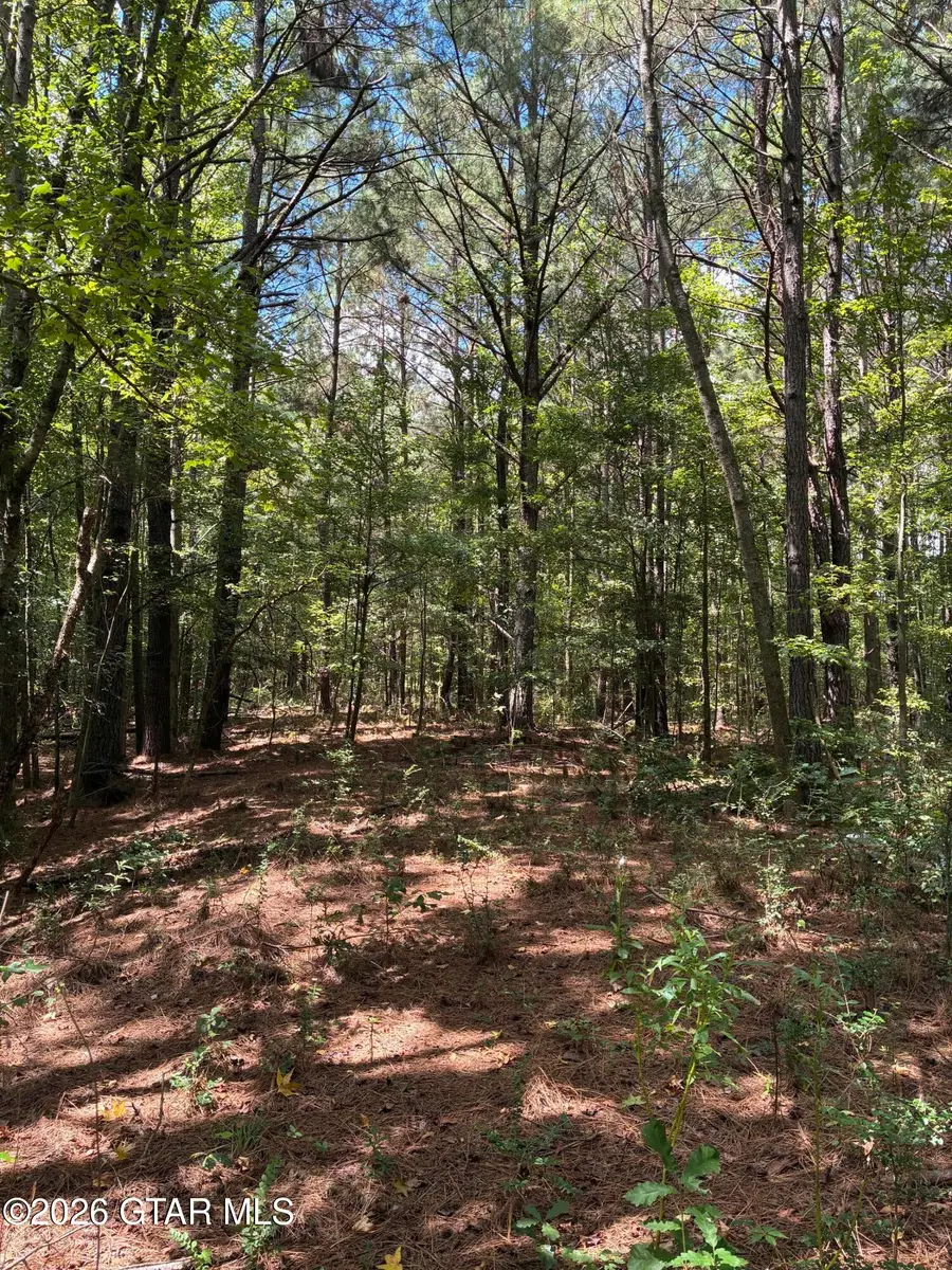 Hwy 15, Ackerman, MS 39735 - #3