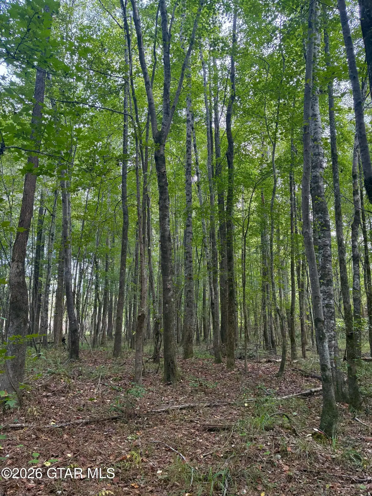 N Enon Rd, Ackerman, MS 39735 - #1