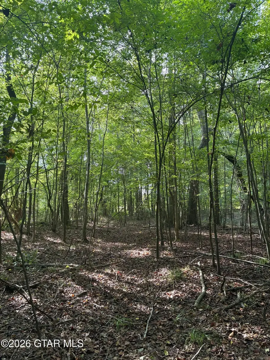N Enon Rd, Ackerman, MS 39735 - #3
