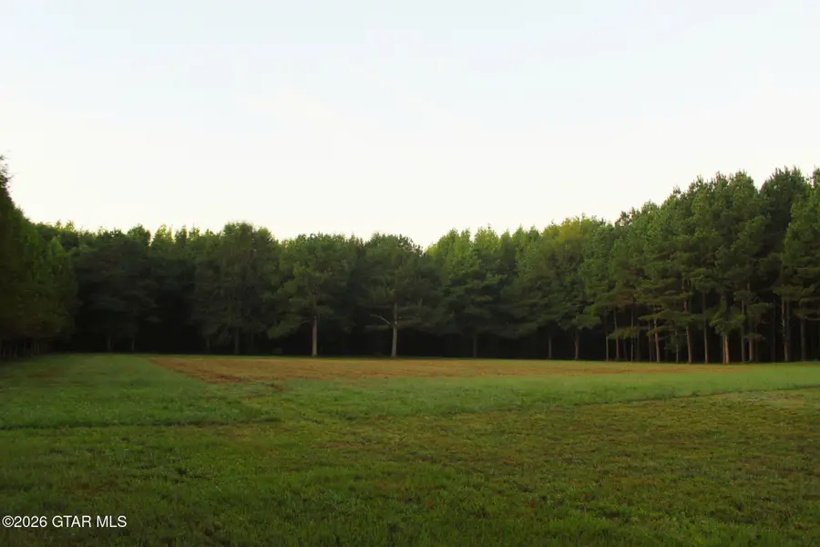 2788 Hwy 16, Carthage, MS 39051 - #3