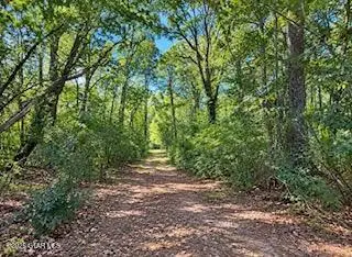 tbd Harpole Street, Maben, MS 39750 - #1