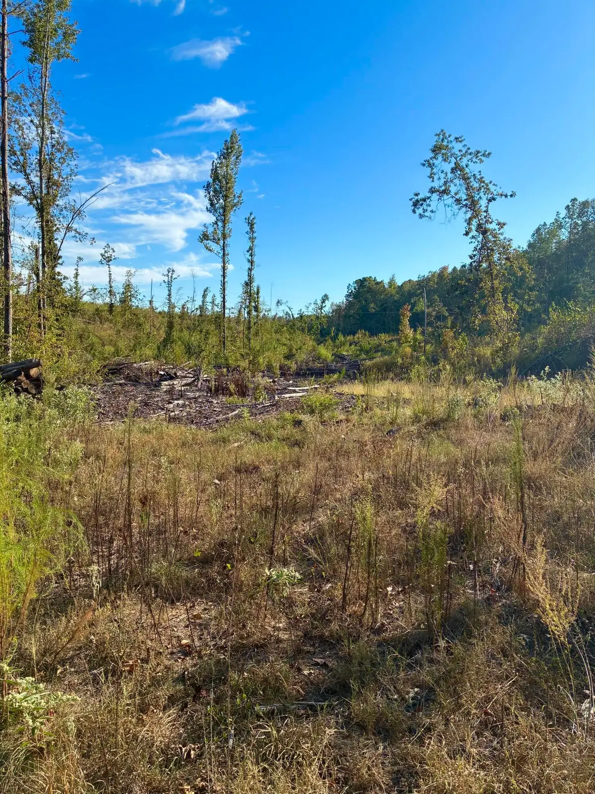 Old Houston Rd, Coffeeville, MS 38922 - #1