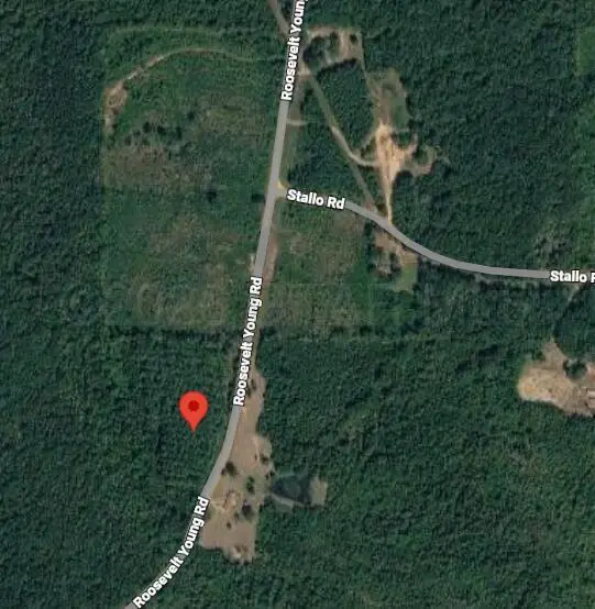 11570 Roosevelt Young, Noxapater, MS 39346