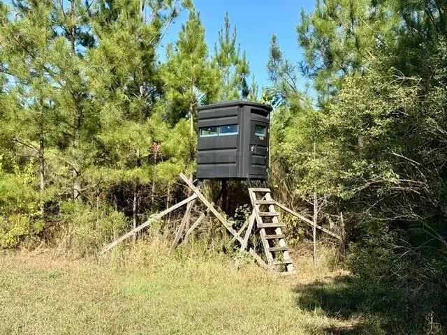 Hwy 12, Sturgis, MS 39769 - #3
