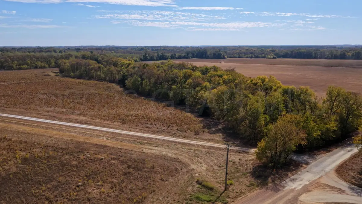Crawford, Starkville, MS 39759 - #1