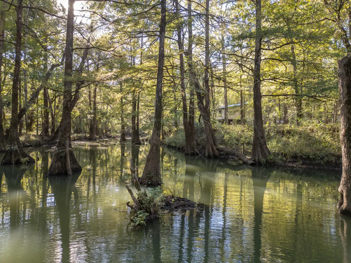 459 Epper Lair, Columbus, MS 39701 - #1