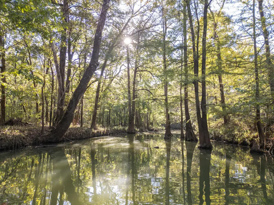 459 Epper Lair, Columbus, MS 39701 - #3