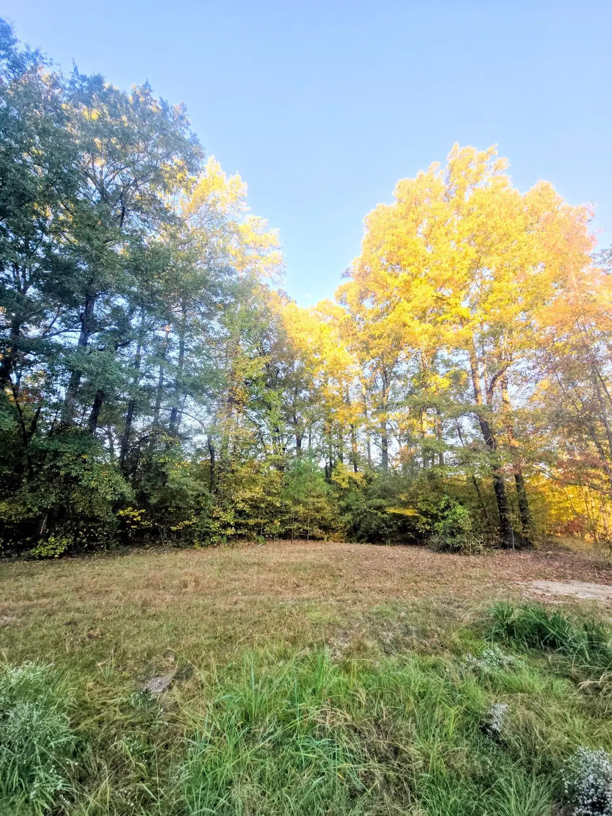Edinborough, Columbus, MS 39705 - #1