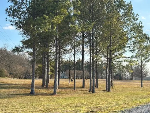 15524 Buggs Ferry Road, Macon, MS 39341 - #3