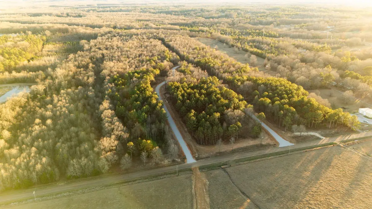 Lot 1 Old Waverly Rd, West Point, MS 39773 - #1