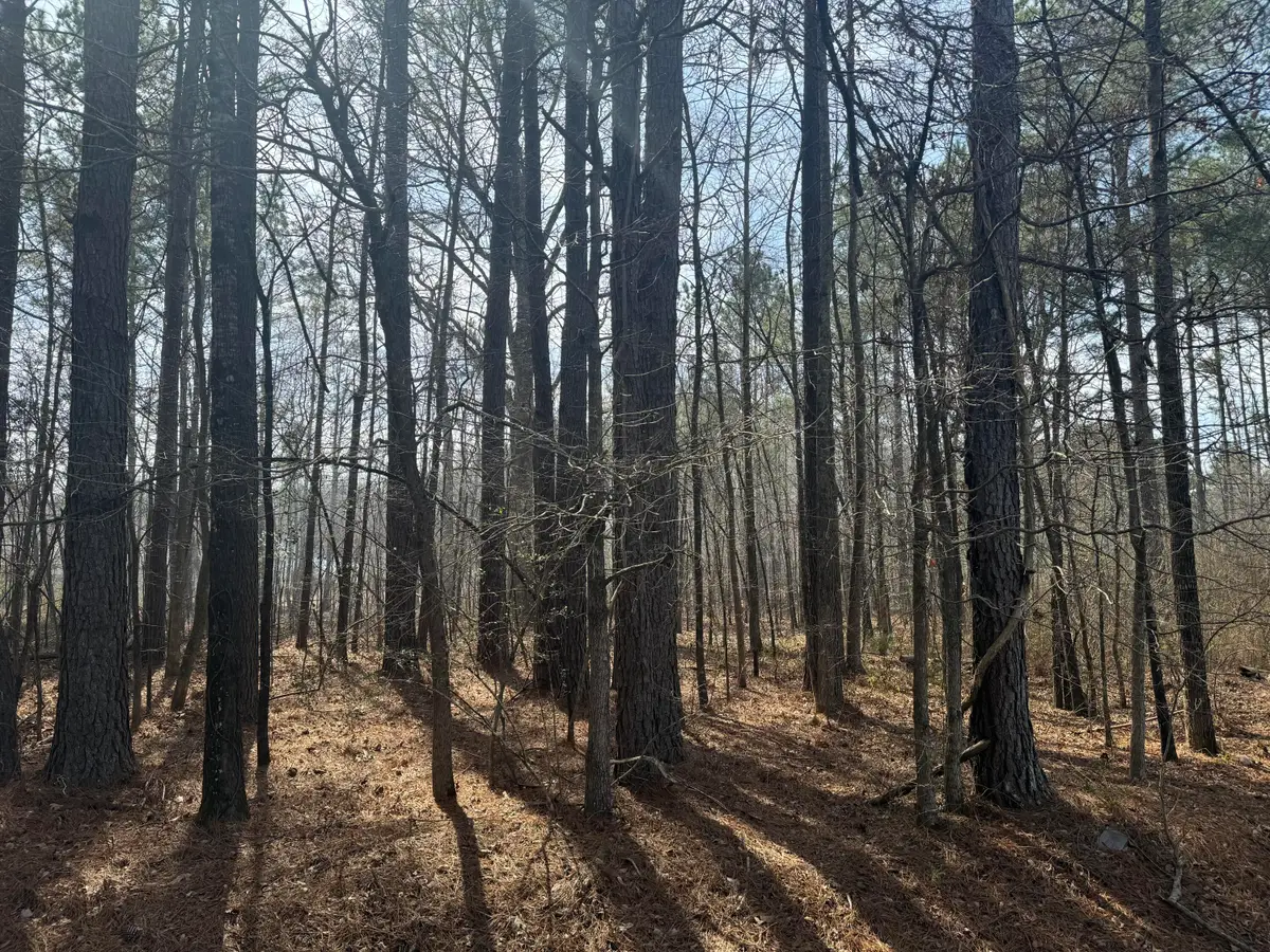 0 Pierce Rd, Columbus, MS 39702 - #1