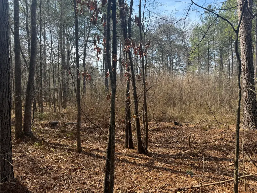 0 Pierce Rd, Columbus, MS 39702 - #2