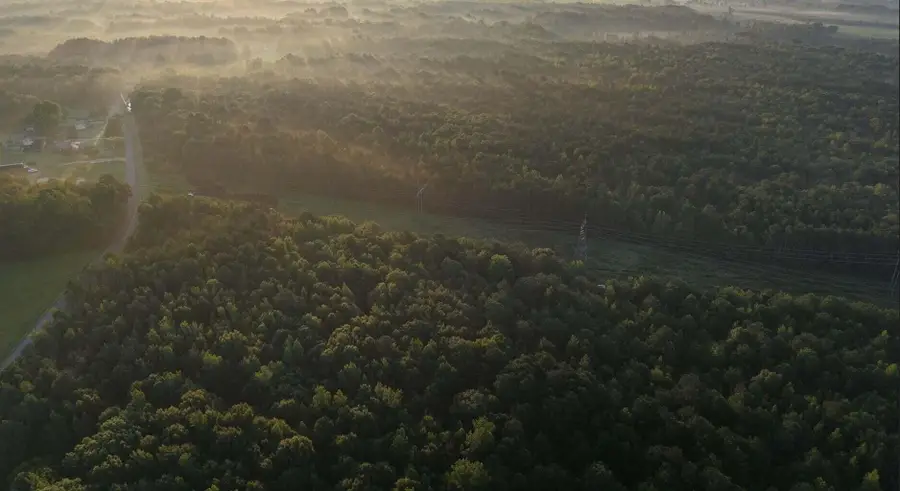 Sand Rd, Steens, MS 39766 - #3