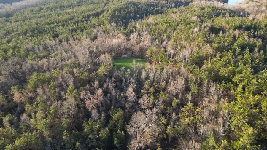 N Mission, Winona, MS 38967 - #2