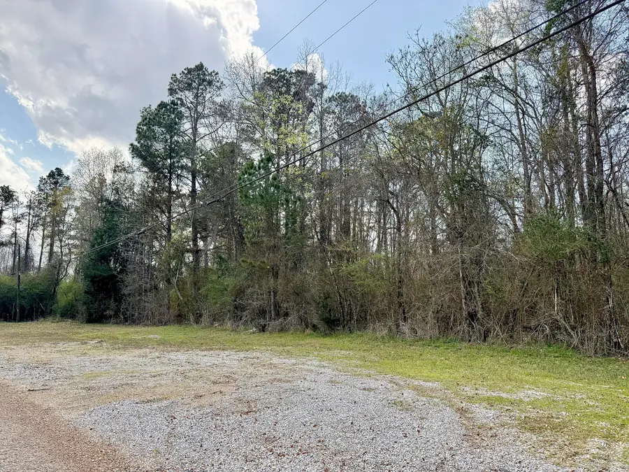 0 Old Macon, Columbus, MS 39701 - #2