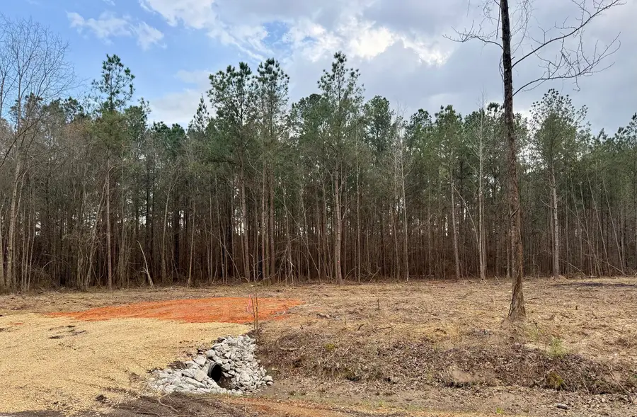 Tract #4 Mike Parra, Columbus, MS 39705 - #3