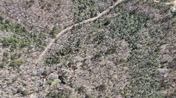 Pace Rd, Hamilton, MS 39746