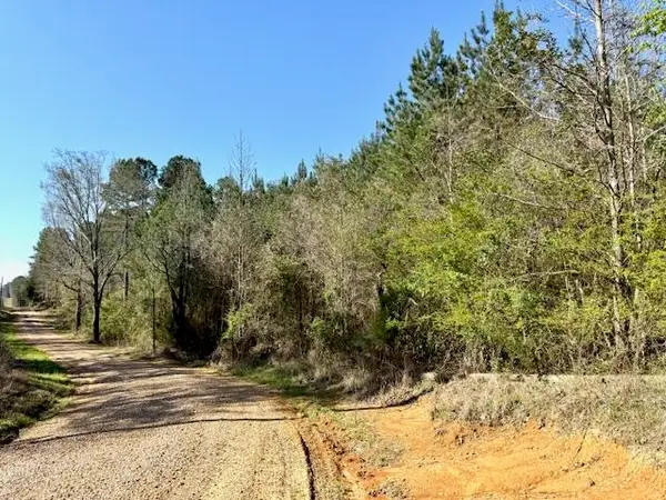 34 acres James Stanley Turnaround Rd, Louisville, MS 39346