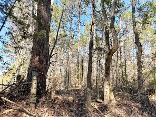 34 acres James Stanley Turnaround Rd, Noxapater, MS 39346 - #2