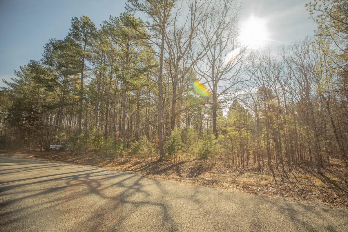 New Light Rd, Starkville, MS 39756 - #1