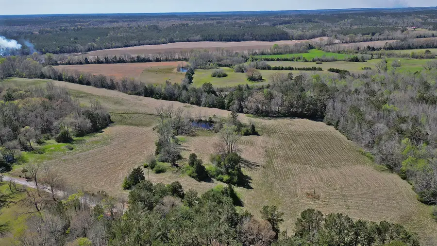 Lebanon Rd, Eupora, MS 39744 - #3