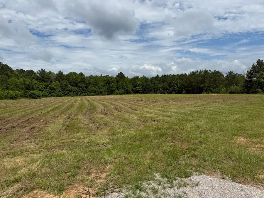 Hwy 12 East, Columbus, MS 39702 - #2