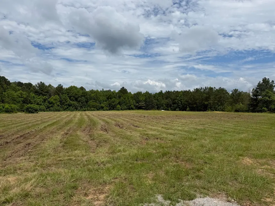 Hwy 12 East, Columbus, MS 39702 - #3